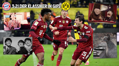 BVBFCB-21-GIFs