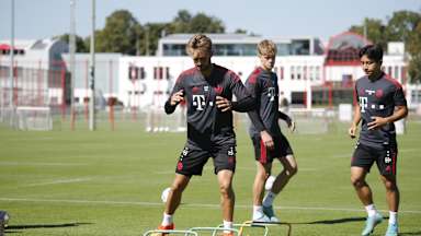 FC Bayern Amateure