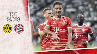Facts and stats on the Bundesliga match Borussia Dortmund - FC Bayern