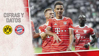 Cifras y datos del partido de la Bundesliga Borussia Dortmund - FC Bayern
