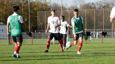 FC Bayern Amateure