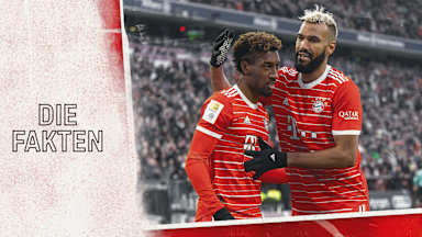 Zahlen und Fakten zum Bundesliga-Spiel VfB Stuttgart - FC Bayern