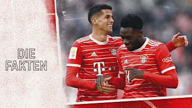 Zahlen und Fakten zum Bundesliga-Spiel Bayer 04 Leverkusen - FC Bayern