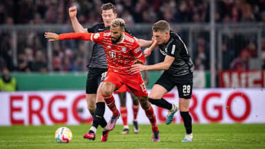 12-fcb-scf-040423-mel