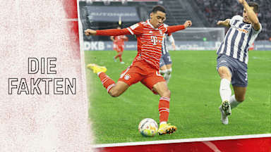 Zahlen und Fakten zum Bundesliga-Spiel FC Bayern - Hertha BSC