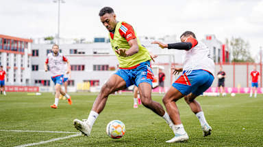 FC Bayern Training