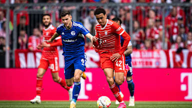 FC Bayern vs. FC Schalke 04