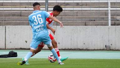 FC  Bayern Amateure