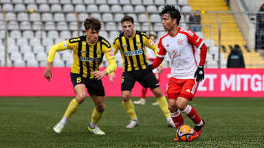 FC Bayern Amateure
