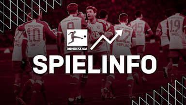 Alle Infos FC Bayern - TSG Hoffenheim
