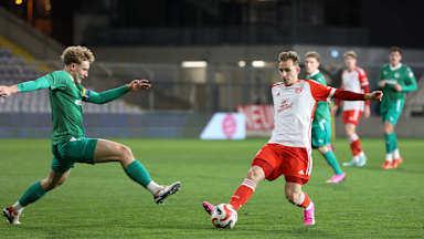 FC Bayern Amateure, Regionalliga Bayern