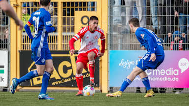 FC Bayern Amateure, Viktoria Aschaffenburg, Regionalliga Bayern