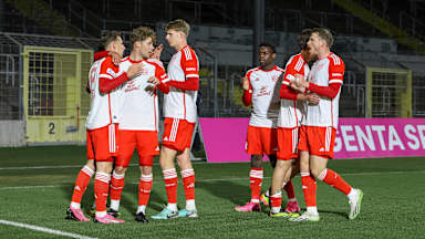 FC Bayern Amateure, Regionalliga Bayern