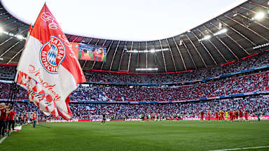 Vor einem Heimspiel des FC Bayern in der Allianz Arena stehen Fahnenträger neben dem Spielfeld.
