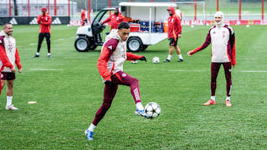 FC Bayern Training