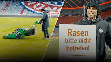 241128-greenkeeper-psg