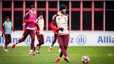 Build-up to Champions League home game against Bratislava