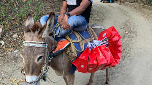 donkey-fcb