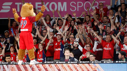 berni_fans_a2511_rau