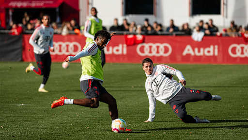 08-oeffentliches-training-fcbayern-221106-mel