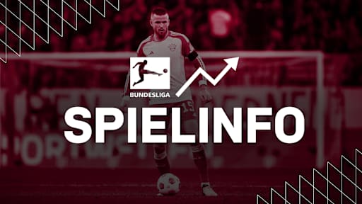 Spielinfo FC Bayern - VfL Wolfsburg