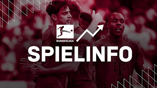 Informationen zum Bundesliga-Spiel TSG Hoffenheim gegen FC Bayern