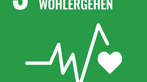 SDG_icons_DE-03