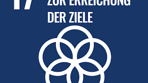 SDG_icons_DE-17