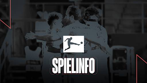 Informationen zum Bundesliga-Spiel TSG Hoffenheim vs. FC Bayern