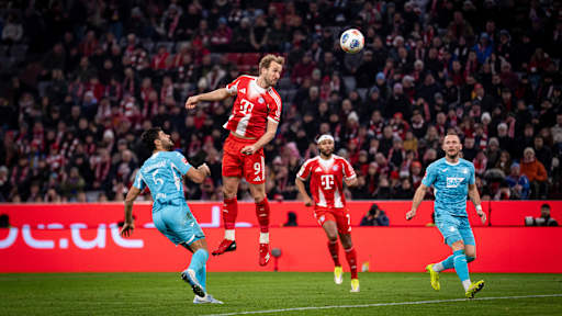 Harry Kane im Bundesliga-Spiel des FC Bayern gegen die TSG Hoffenheim