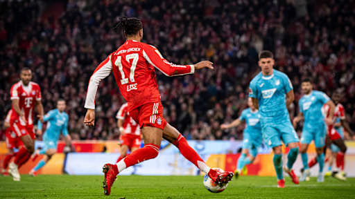 Michael Olise im Bundesliga-Spiel des FC Bayern gegen die TSG Hoffenheim