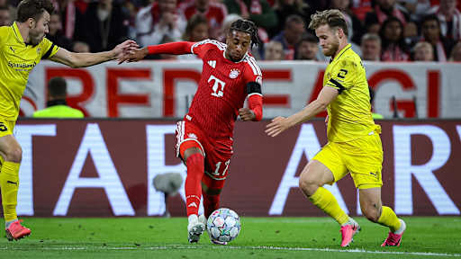 Michael Olise mit Ball am Fuß im Zweikampf während des Heimspiels des FC Bayern in der Champions League gegen FK Bodø/Glimt