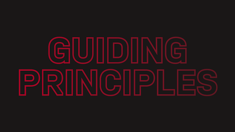 Guiding Principles