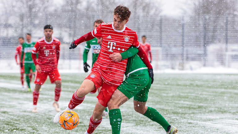 FC Bayern Amateure