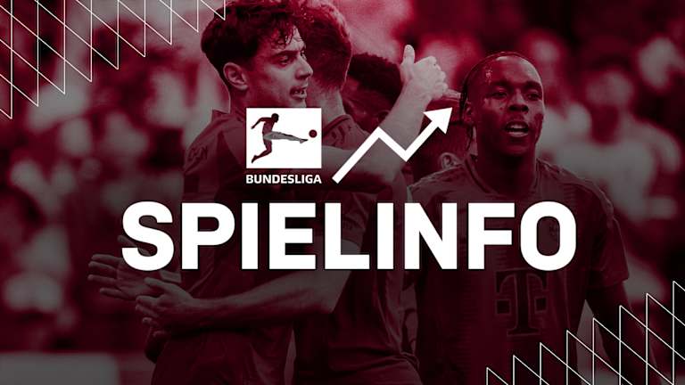 Informationen zum Bundesliga-Spiel TSG Hoffenheim gegen FC Bayern