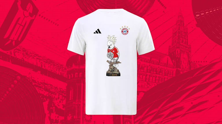 Now available: The 2026 champions collection