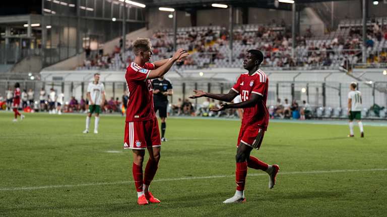 Anton Heinz und Bastian Assomo schlagen nach einem Tor miteinander ein.