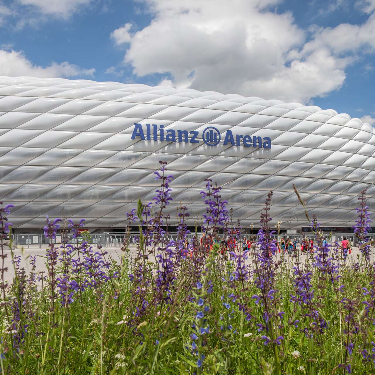 Blumenwiese vor der Allianz Arena