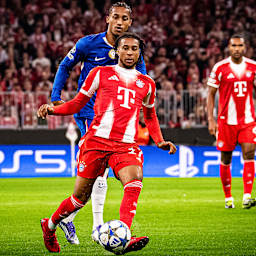 Michael Olise mit Ball am Fuß während des Heimspiels des FC Bayern zum Auftakt in die Champions League gegen den FC Chelsea