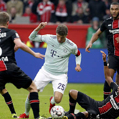 lev_fcb_05_ima_020219