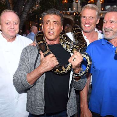 190716_schwarzenegger_02