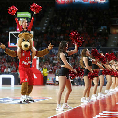 berni_ceerlead_a25_rau_