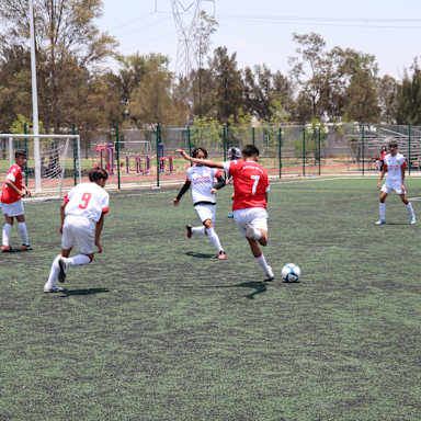IMG_4050_copy