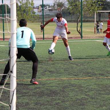 IMG_4622_copy
