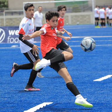 TONO0751