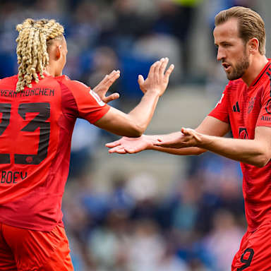 Sacha Boey und Harry Kane klatschen nach dem Tor des Engländers zum 4:0 bei der TSG Hoffenheim ab