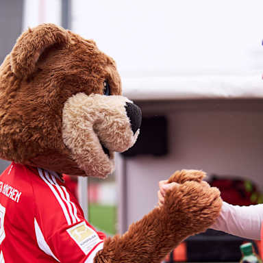 Maskottchen Berni und Aleksandar Pavlovic schlagen ein vor dem Training des FC Bayern