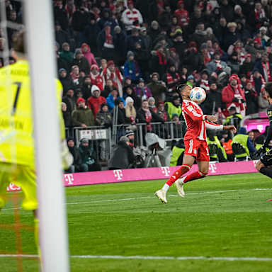 Michael Olise saugt den Ball herunter während des Heimspiels des FC Bayern in der Bundesliga gegen den FC Augsburg