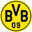 bvb500x500