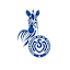 MSV Duisburg